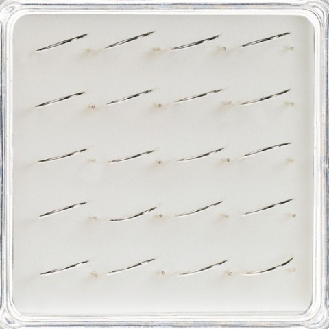 L-01213 (10mm)