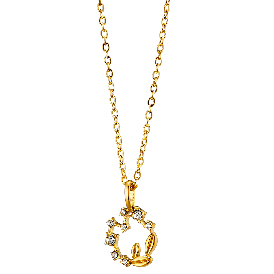 Κολιέ γυναικείο επιχρυσωμένο, με τυλιγμένη γιρλάντα ζιργκόν, ατσάλι 316L
